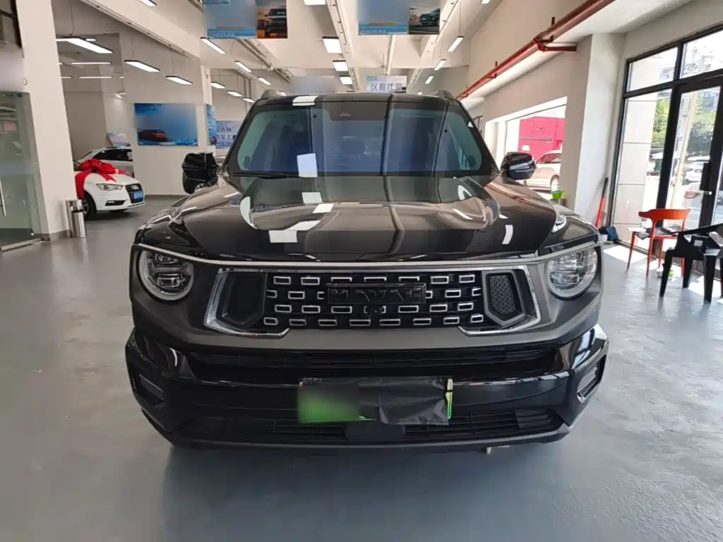 Haval Плюс новая энергия. — миниатюра 3