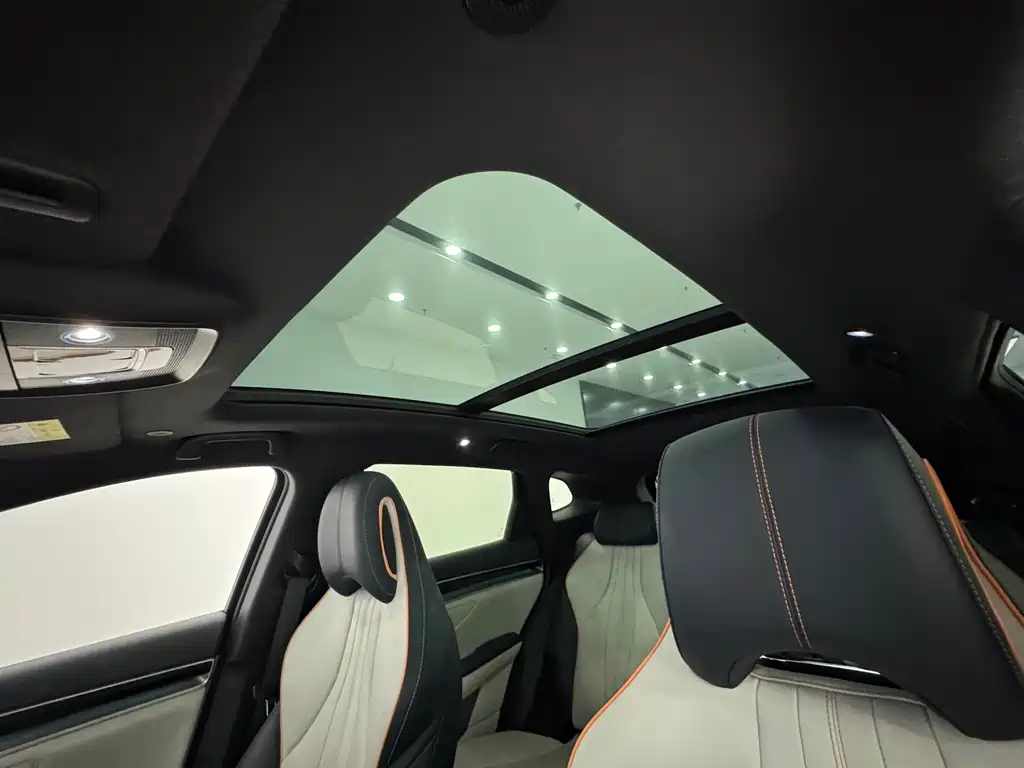 BYD PLUS New Energy — миниатюра 21