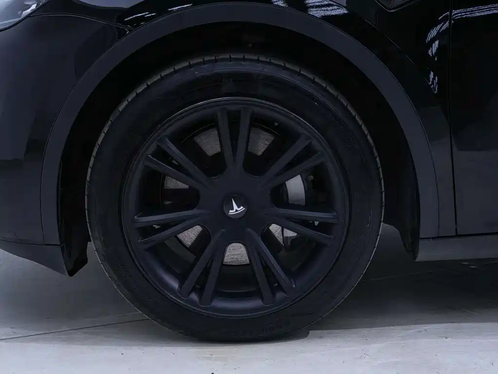 Tesla Model Y — миниатюра 18