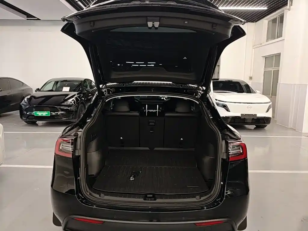 Tesla Model Y — миниатюра 19