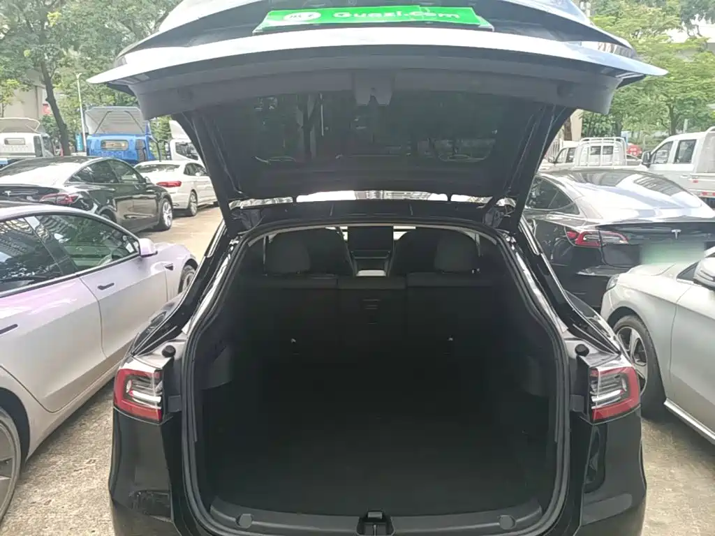Tesla Model Y — миниатюра 19