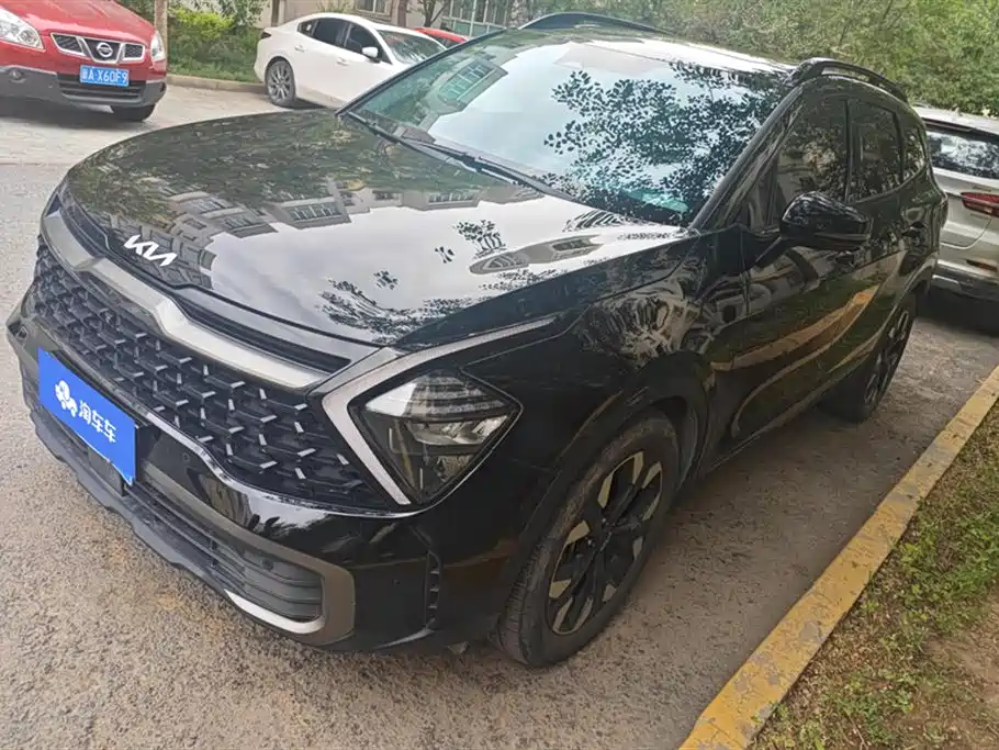 Lion Platinum Cross 2023 2.0T 2WD Flagship Edition