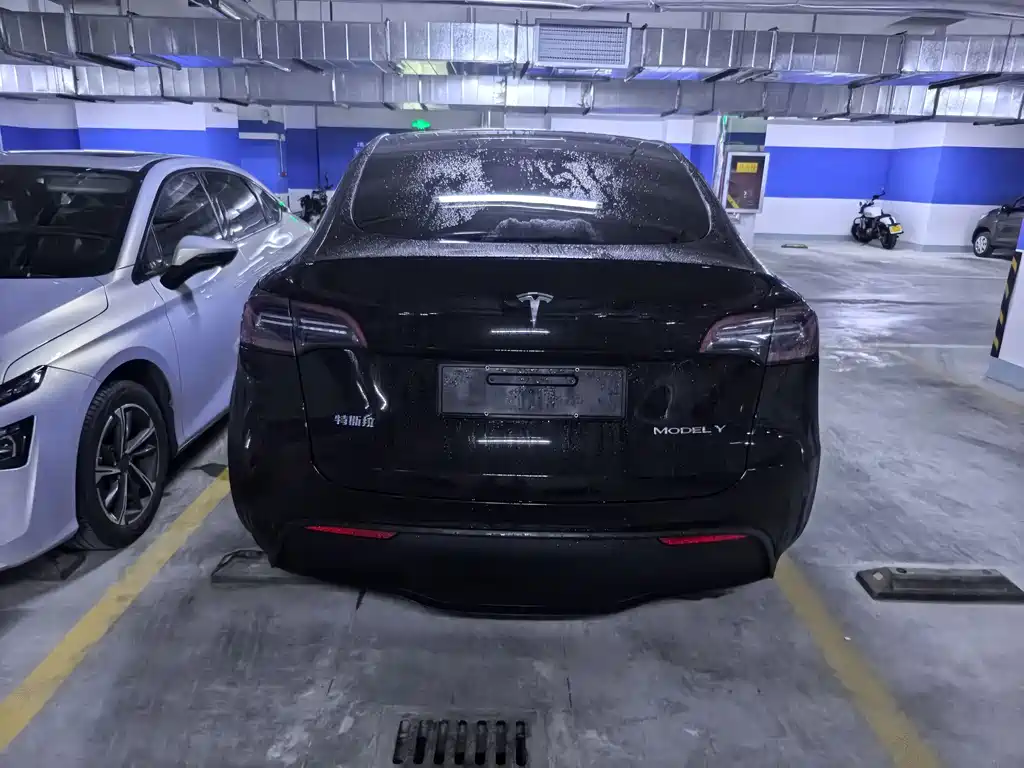 Tesla Model Y — миниатюра 5