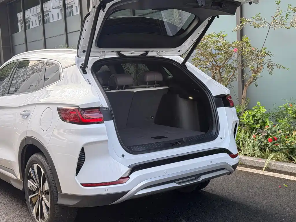 BYD PLUS New Energy — миниатюра 8