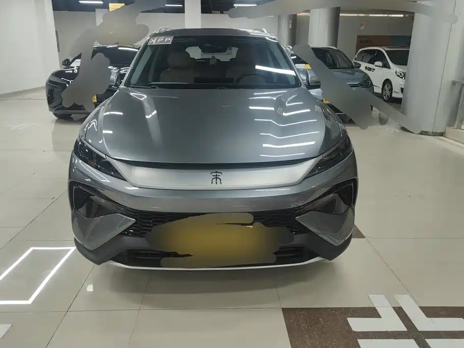BYD Pro New Energy — миниатюра 2