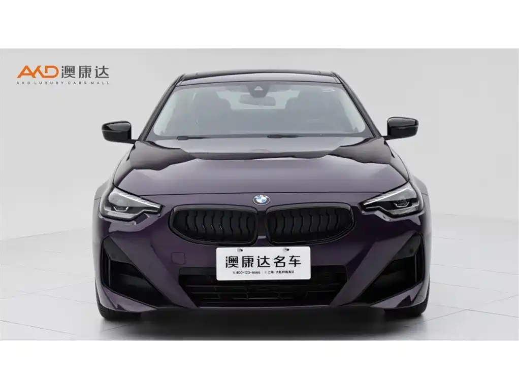 BMW 2 Series (Import) — миниатюра 2