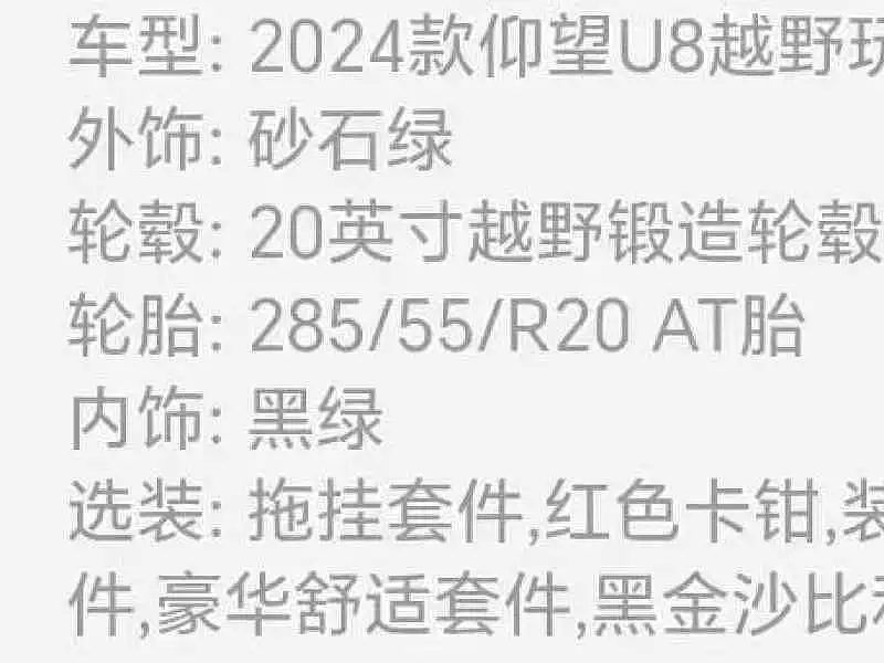 Yangwang Yangwang U8 — миниатюра 2