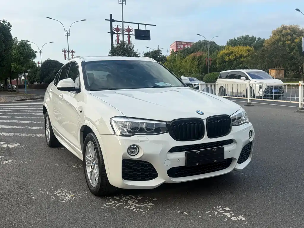 BMW X4 — миниатюра 2