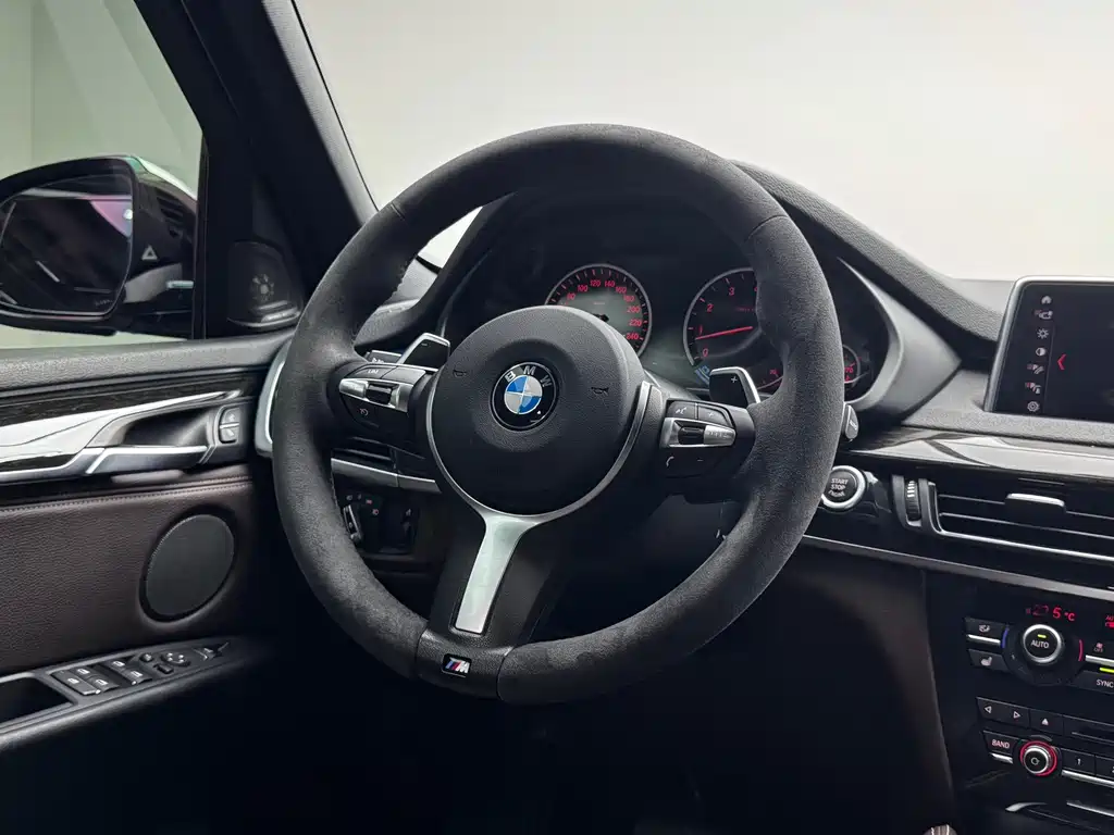 BMW X5 (Import) — миниатюра 23