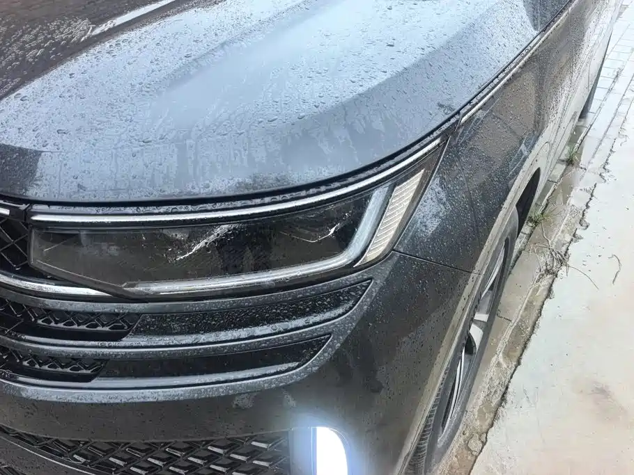 Volkswagen Tavendor — миниатюра 5