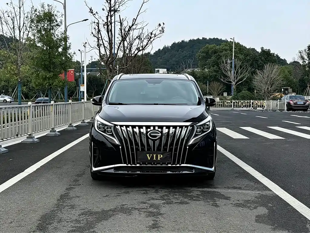 GAC Motor Trumpchi M8 — миниатюра 2