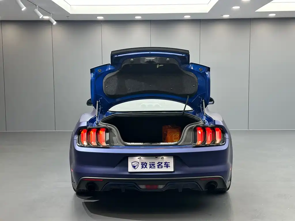Ford Mustang — миниатюра 21
