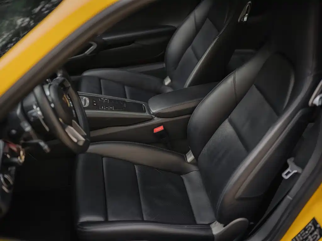 Porsche 911 — миниатюра 11