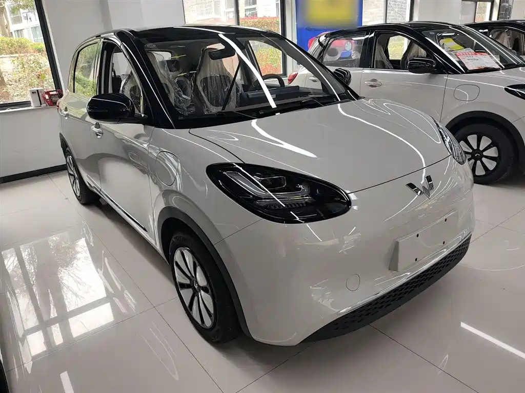Wuling Binguo 2025 333km Enjoy