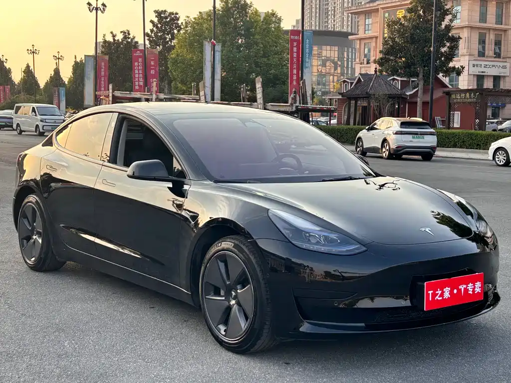 Tesla Model 3 — миниатюра 3