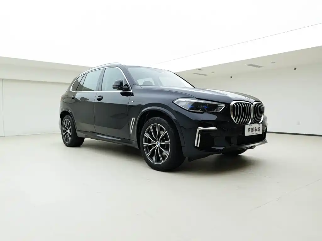 BMW X5 — миниатюра 2