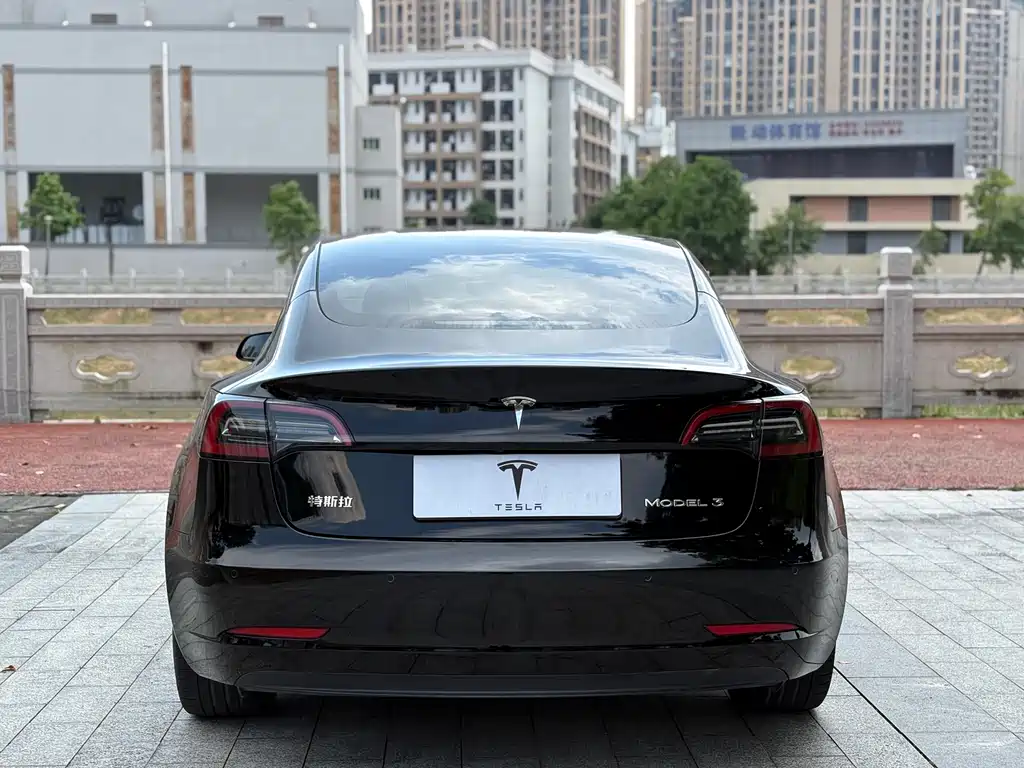 Tesla Model 3 — миниатюра 8
