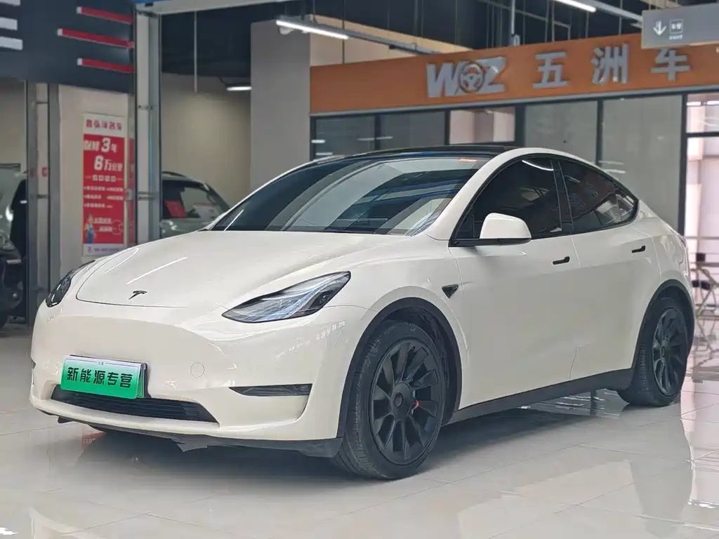 Tesla Model Y — миниатюра 3