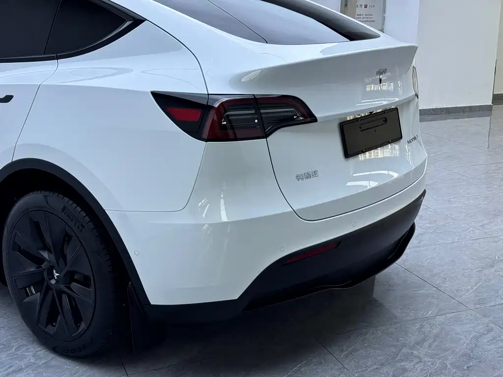Tesla Model Y — миниатюра 17