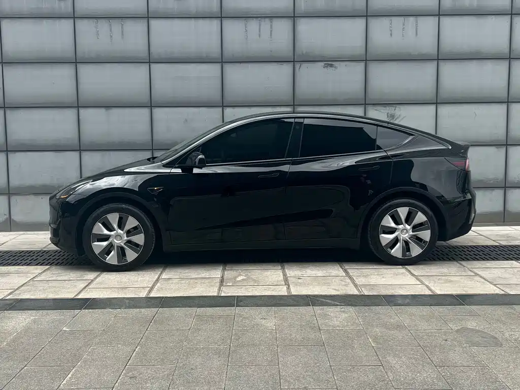 Tesla Model Y — миниатюра 3