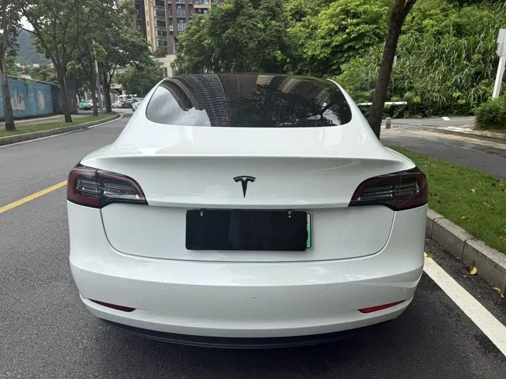 Tesla Model 3 — миниатюра 6