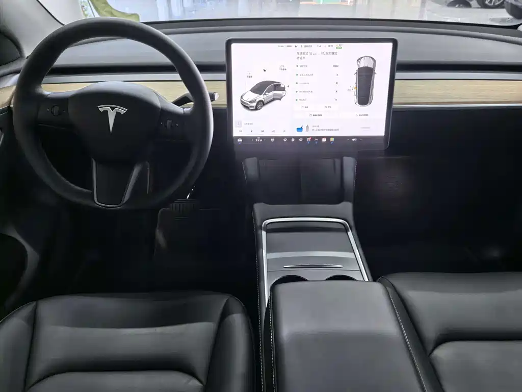 Tesla Model Y — миниатюра 8