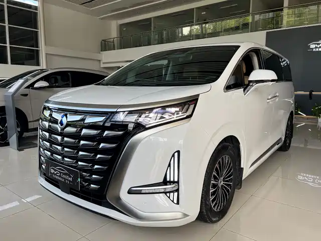 2023 Denza D9