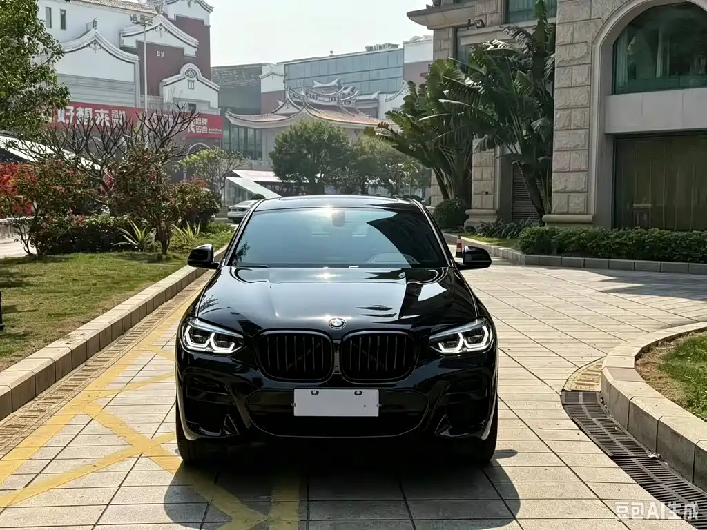 BMW X4 — миниатюра 2