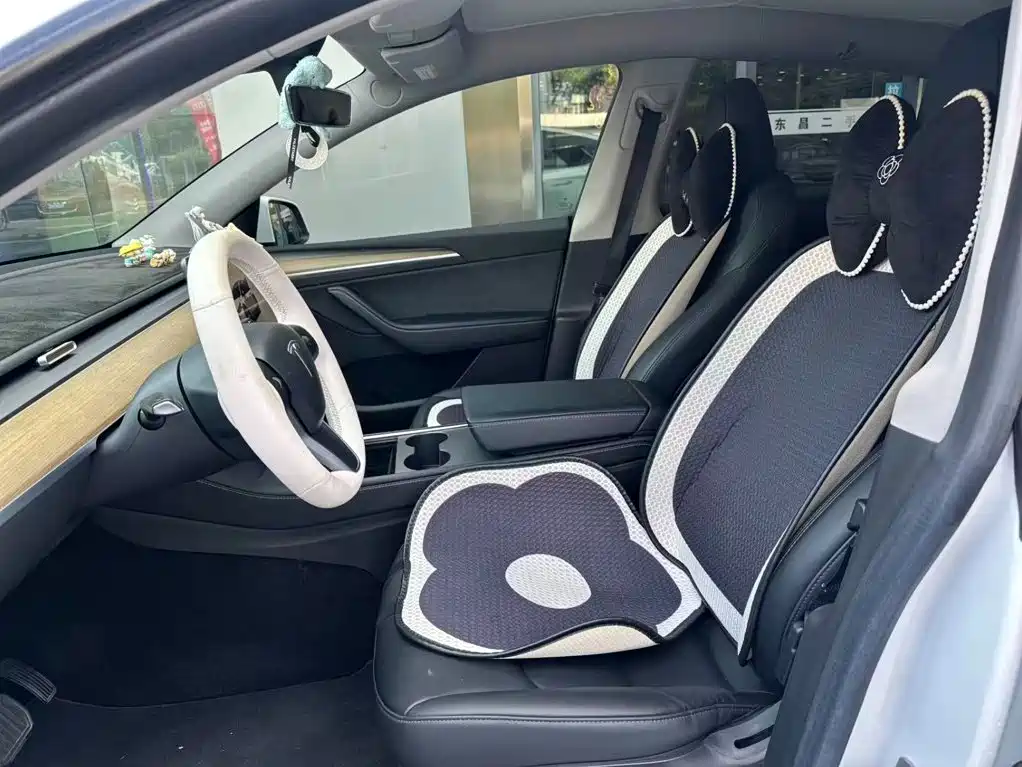 Tesla Model Y — миниатюра 14