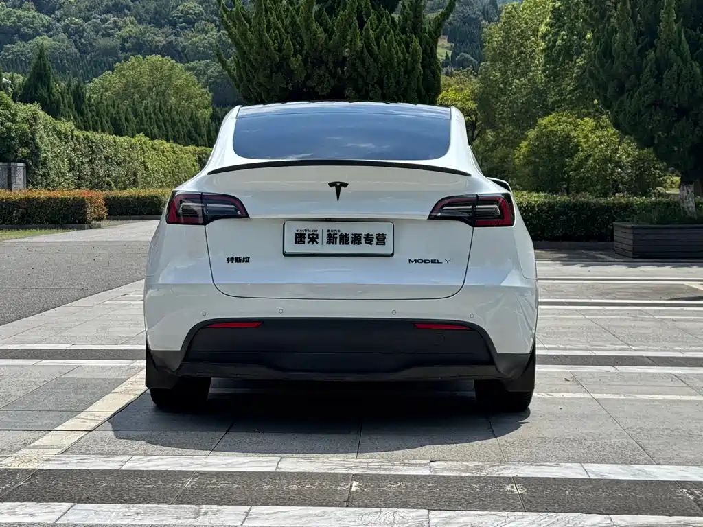 Tesla Model Y — миниатюра 6