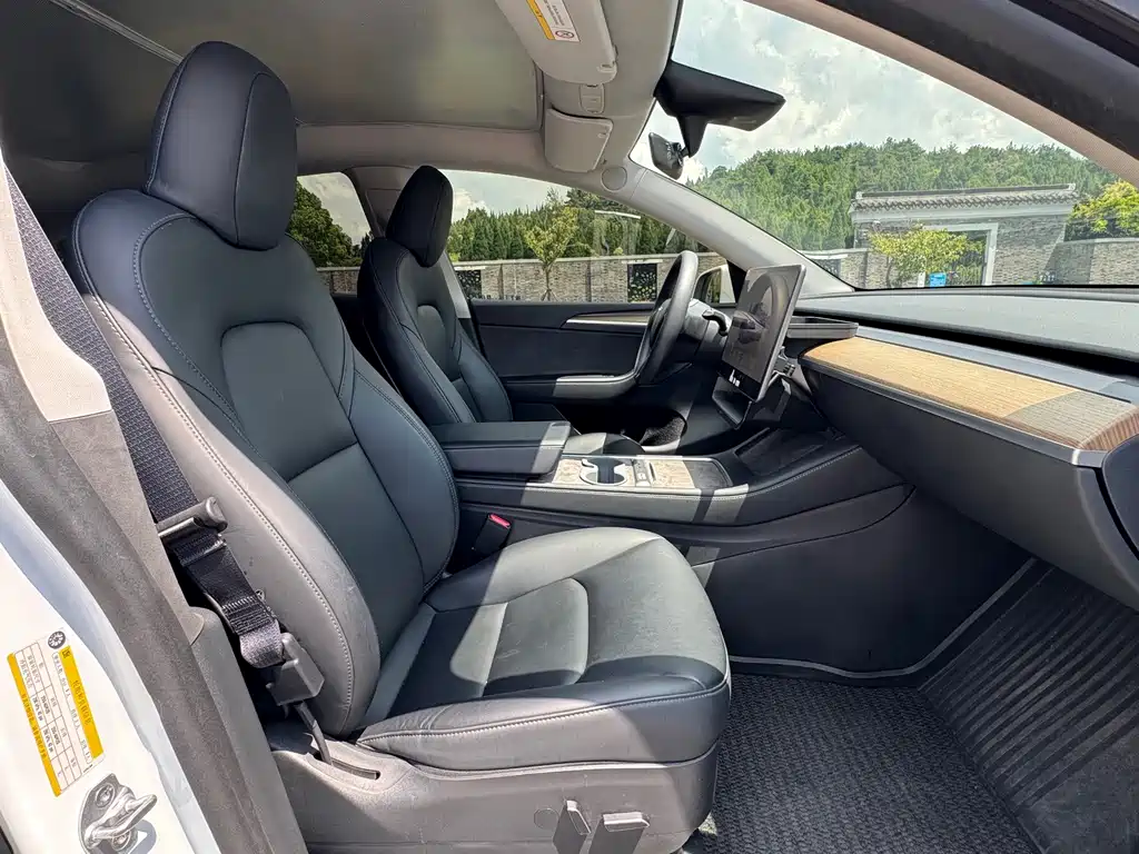 Tesla Model Y — миниатюра 9