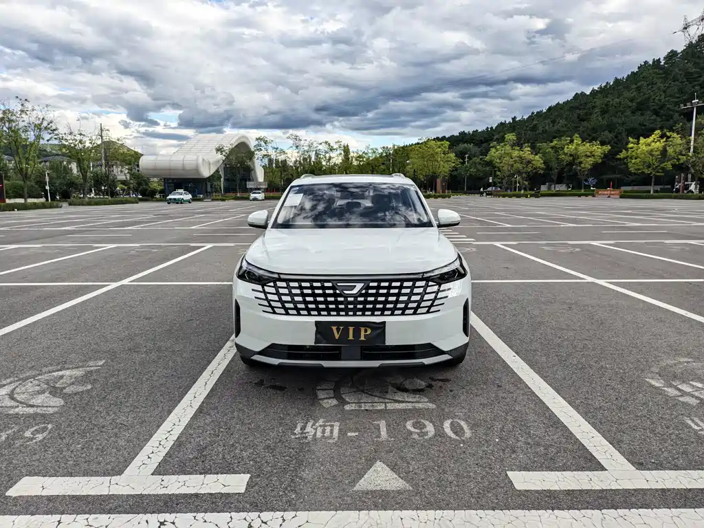 Jetta VS8 — миниатюра 2