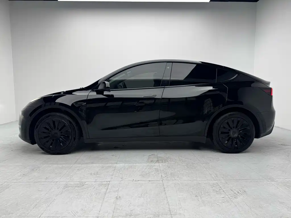 Tesla Model Y — миниатюра 3