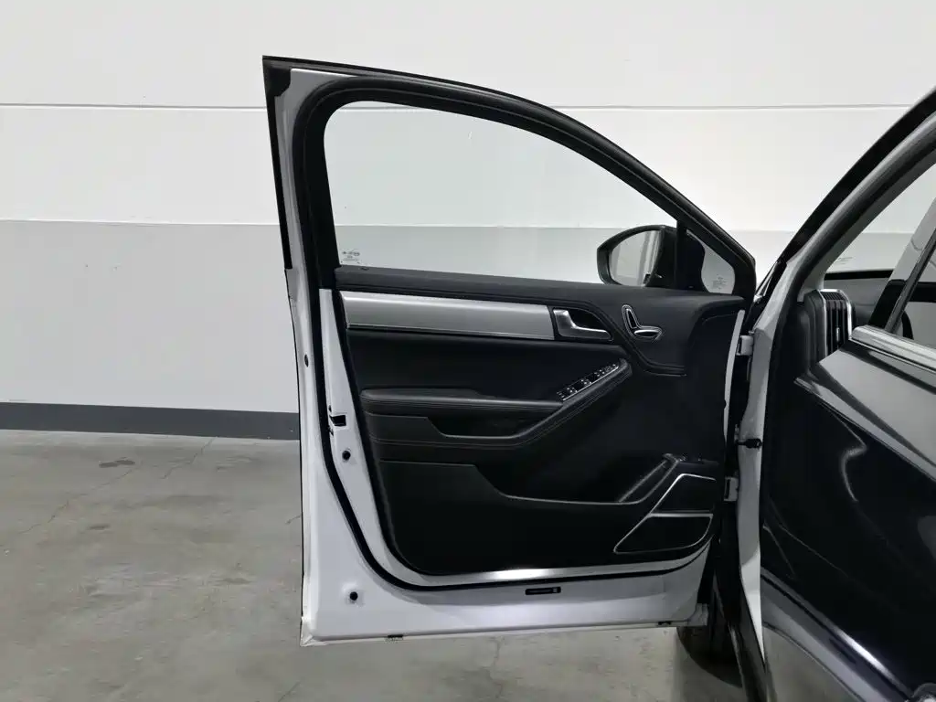 BYD Tang New Energy — миниатюра 8