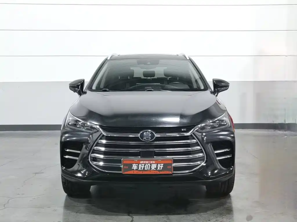 BYD Tang New Energy — миниатюра 3