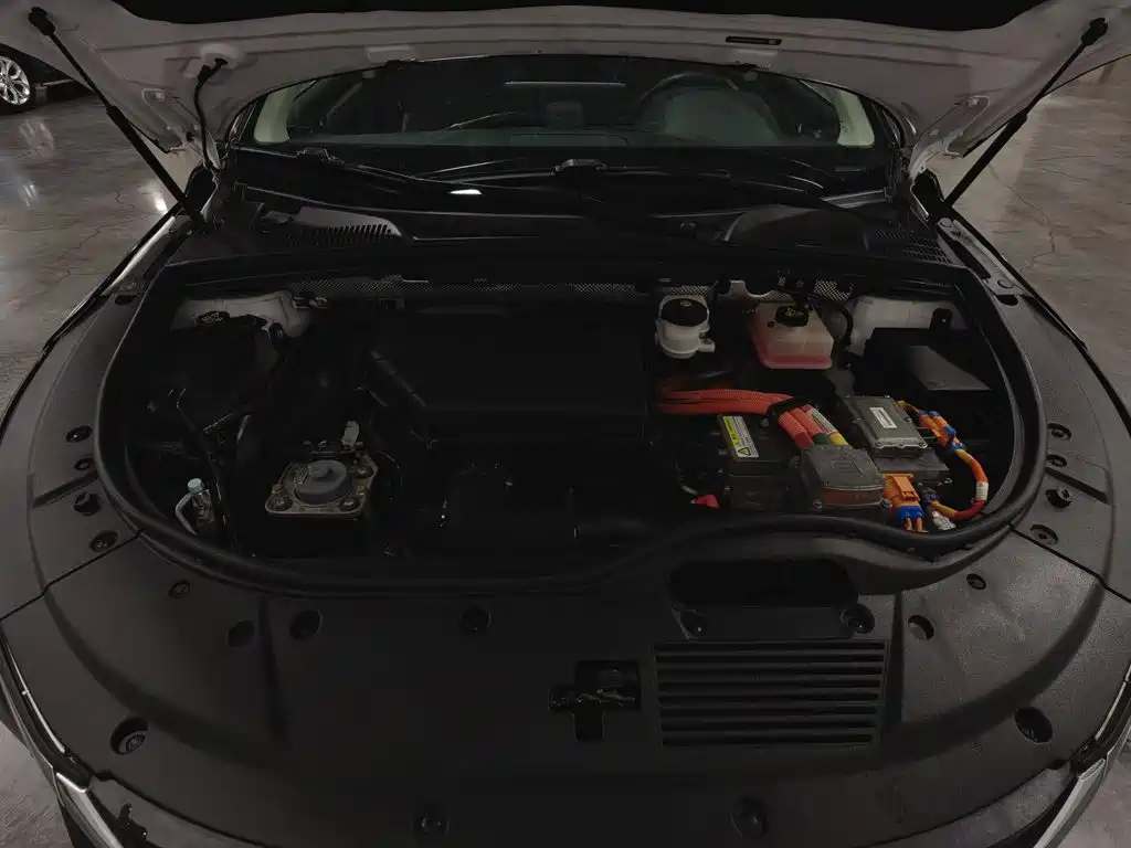 BYD Tang New Energy — миниатюра 6