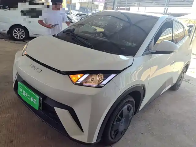 2025 BYD Seagull
