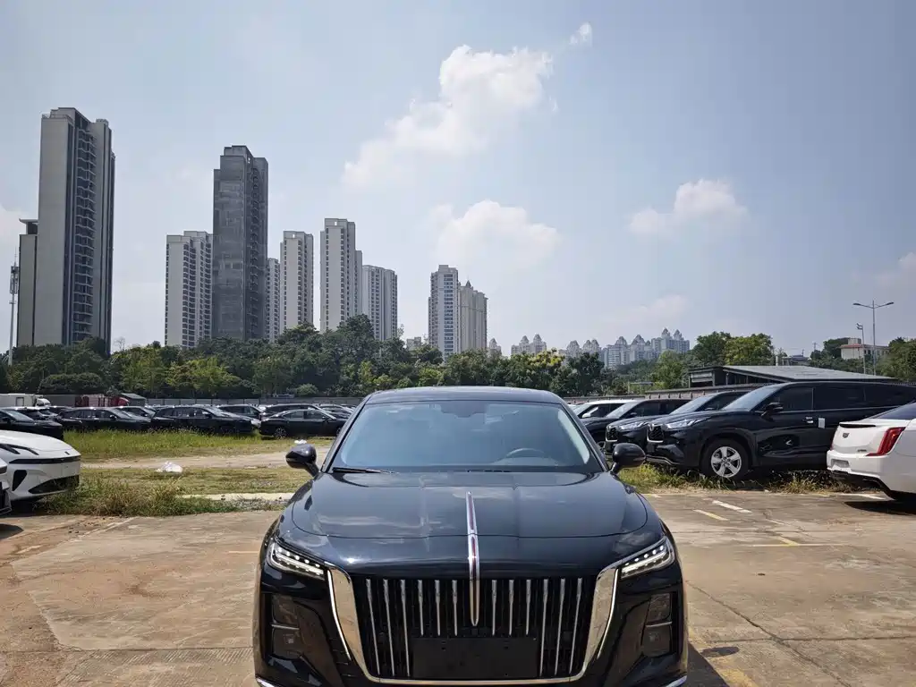Hongqi Hongqi H5 — миниатюра 2