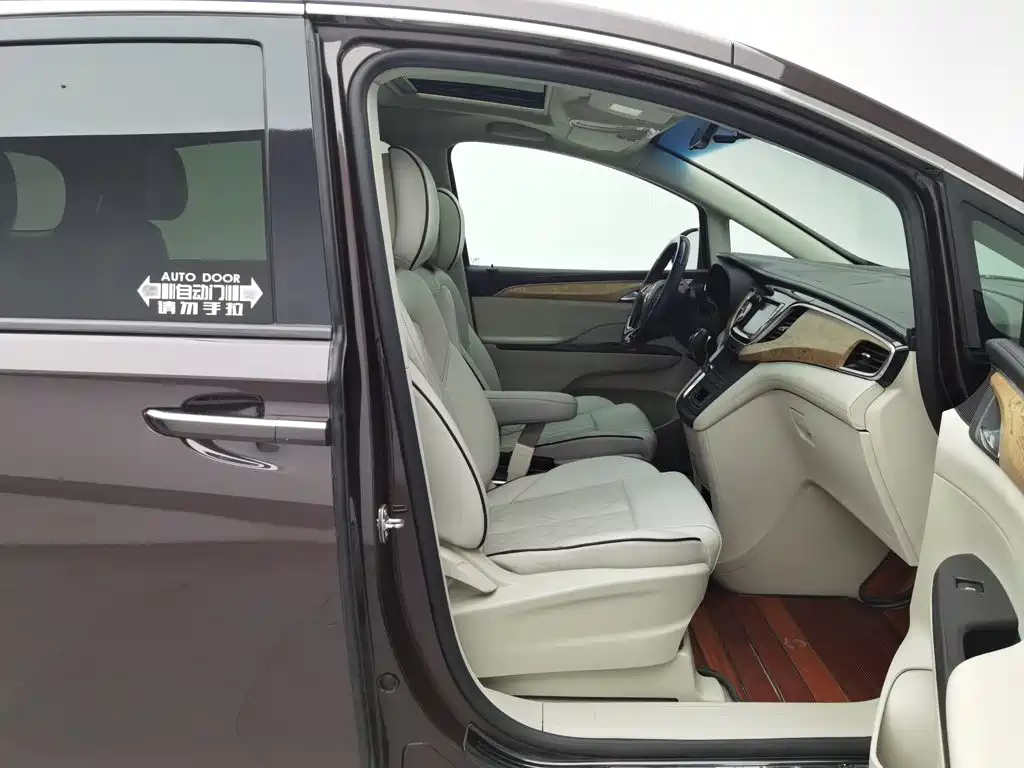 Buick GL8 — миниатюра 23