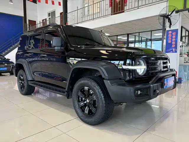 Tank 300