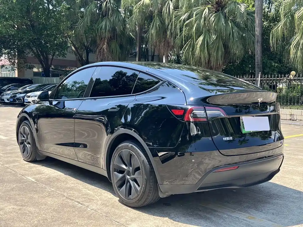 Tesla Model Y — миниатюра 9