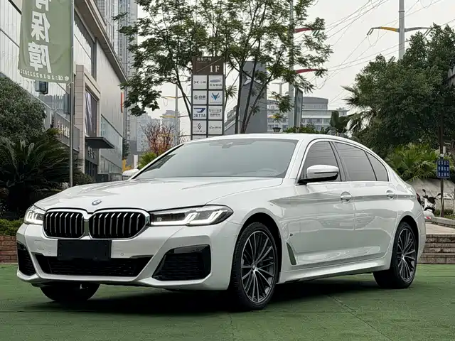 BMW 5 SERIES