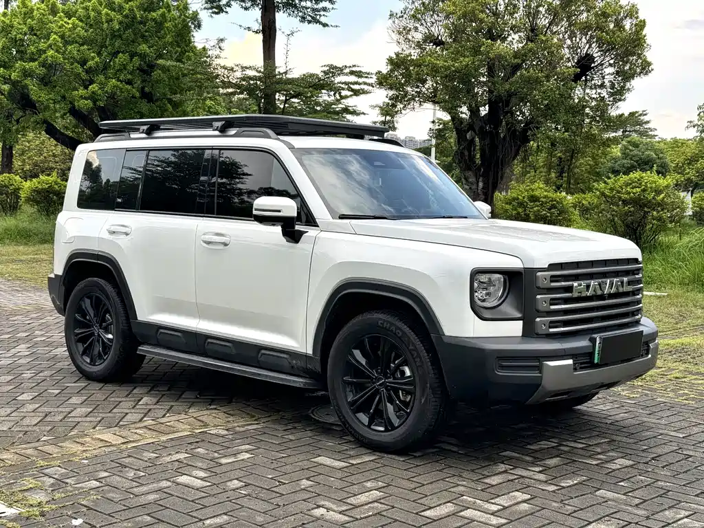 Haval Menglong New Energy — миниатюра 3