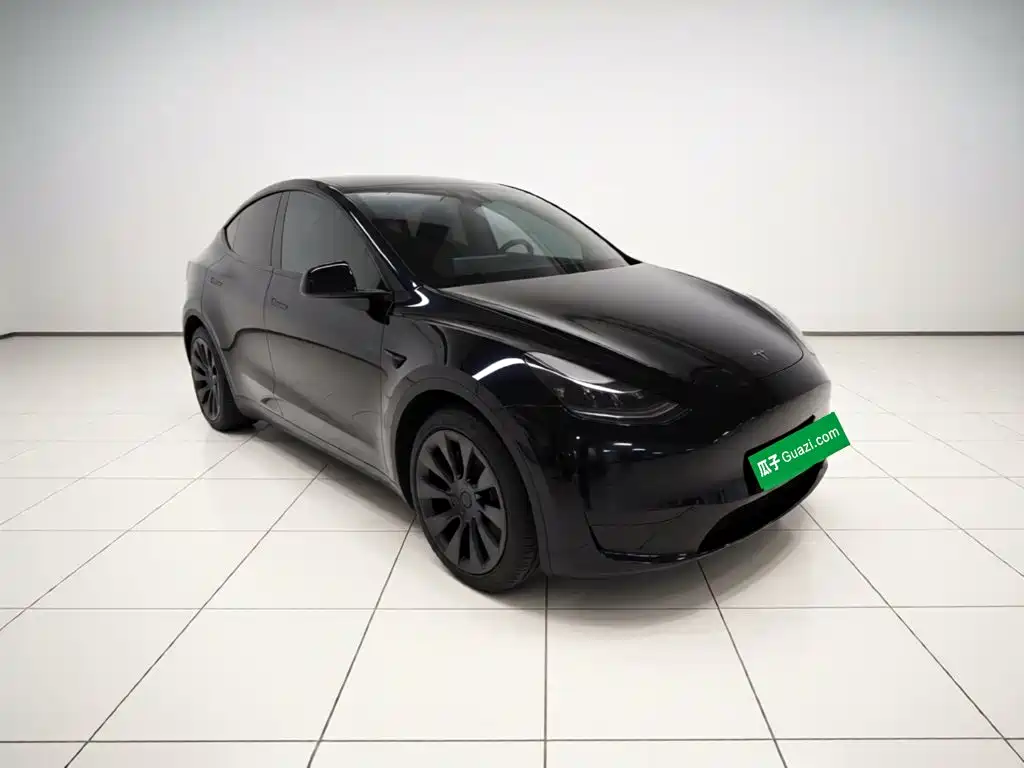 Tesla Model Y — миниатюра 24