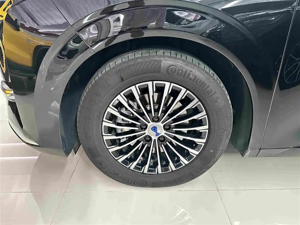 Denza Denza D9 — миниатюра 4