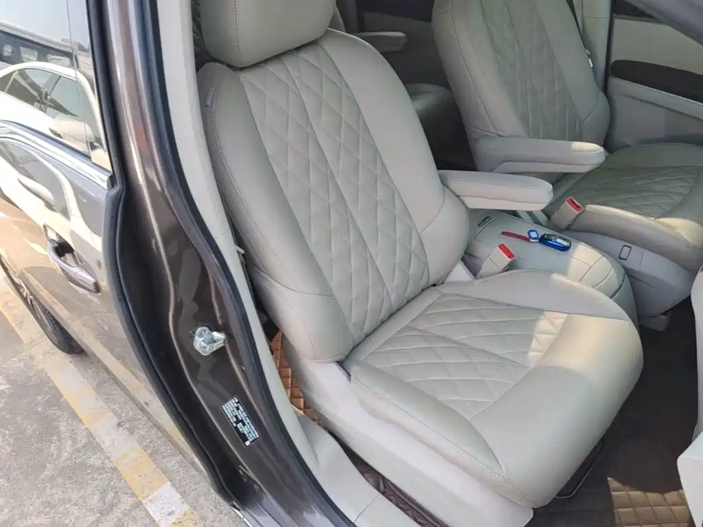 Buick GL8 — миниатюра 25