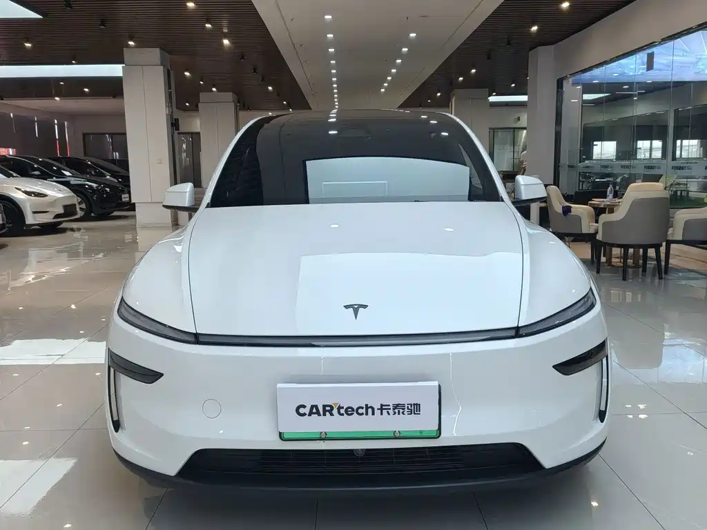Tesla Model Y L — миниатюра 2