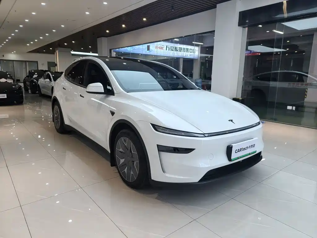 Tesla Model Y L — миниатюра 3