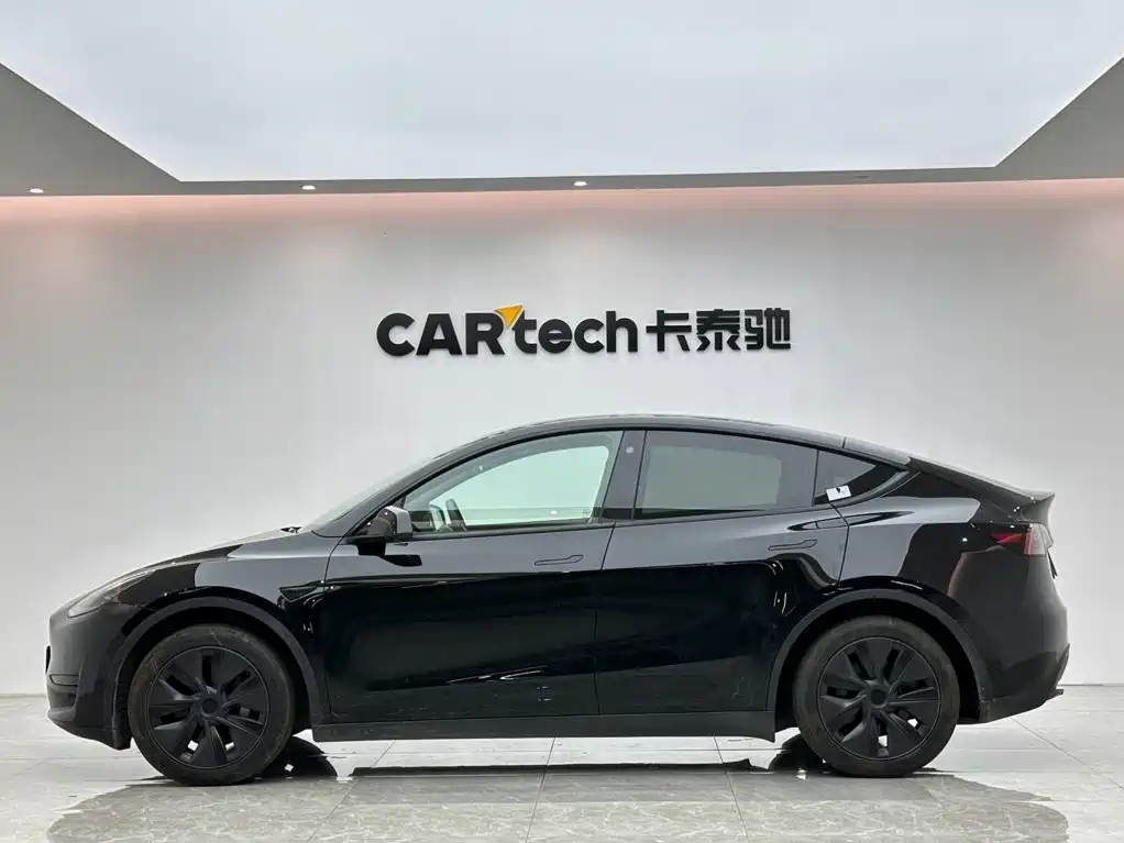 Tesla Model Y — миниатюра 2