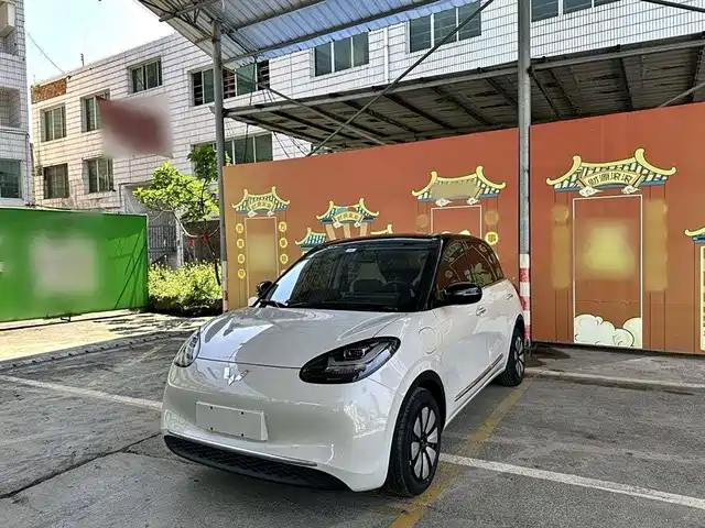 WULING AUTOMOBILE WULING BINGGUO 2024